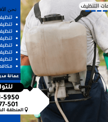 شركة مكافحة النمل الابيض بالجوف خصم 35% شركة مكافحة النمل الابيض بالجوف خصم 35%