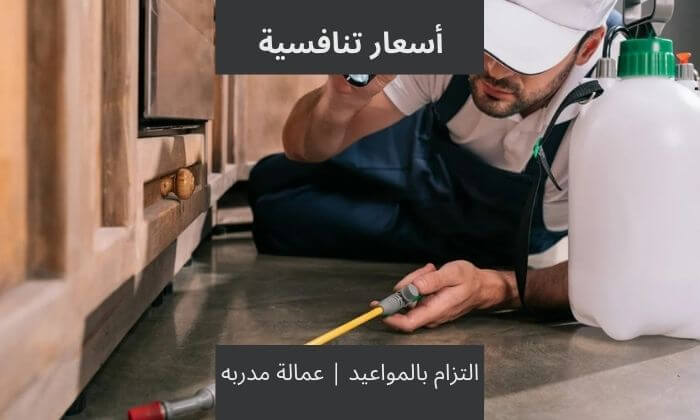 لماذا اختار خدمة مكافحه الحشرات بالقطيف من مؤسسة انوار الجنة