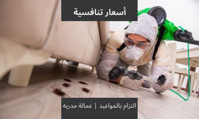 مميزات الحصول على خدمة أفضل شركه مكافحه حشرات في البيوت والمنازل