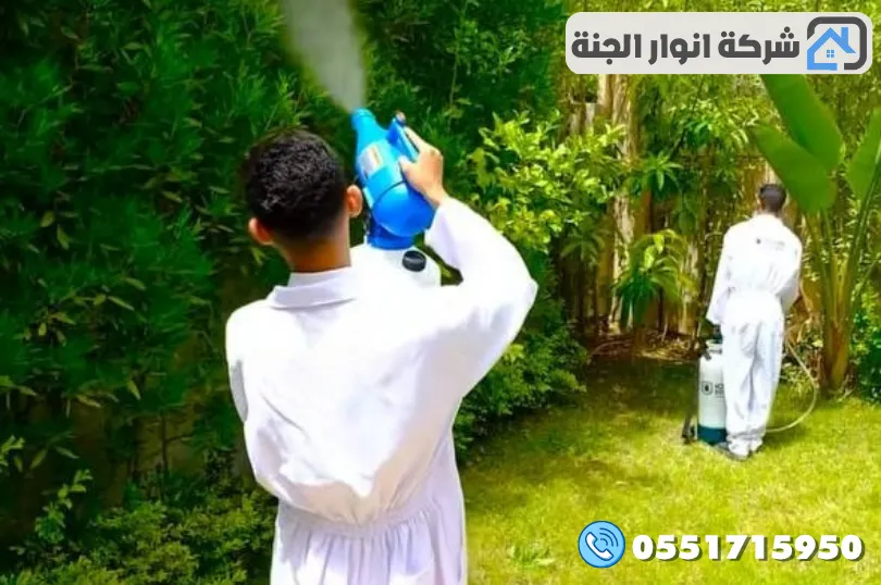 أهم خدمات شركة مكافحة حشرات بالدمام