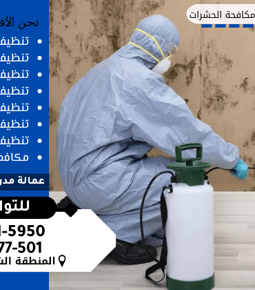 شركة مكافحة الصراصير بالدمام شركة مكافحة الصراصير بالدمام