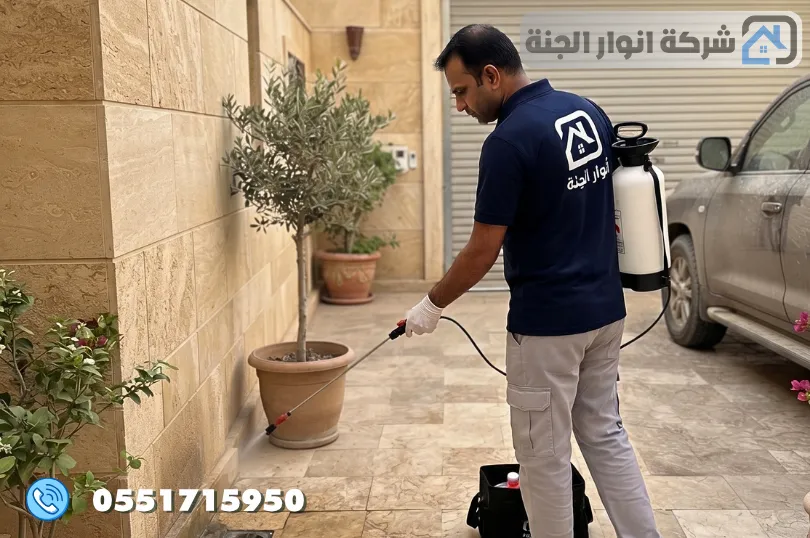 خطوات شركة أنوار الجنة في مكافحة النمل الأبيض بالخبر خطوة بخطوة