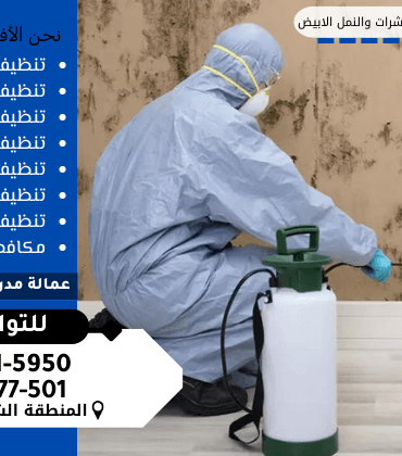 شركة مكافحة النمل الابيض بالخبر شركة مكافحة النمل الابيض بالخبر