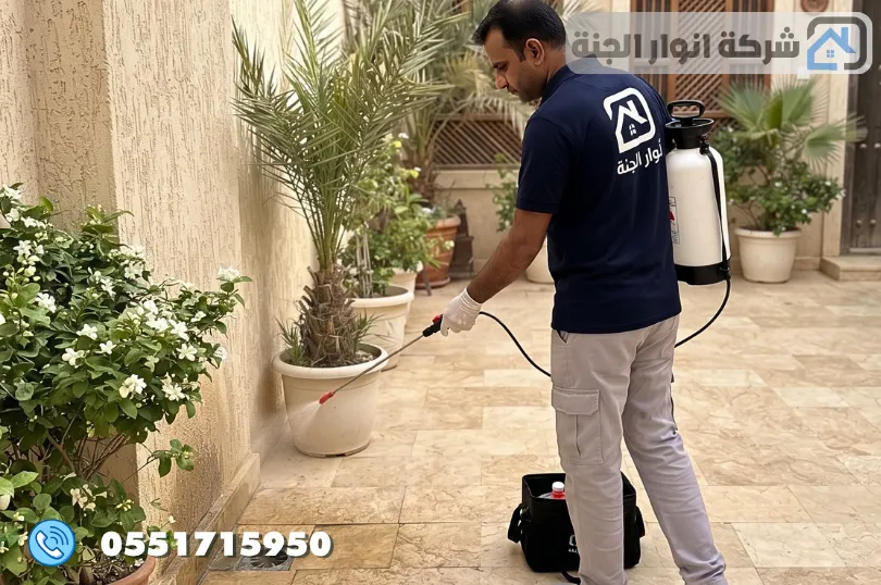 استئجار شركة مكافحة النمل الابيض بالدمام
