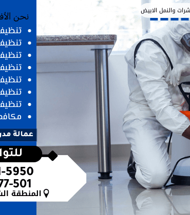 شركة مكافحة النمل الابيض بالدمام شركة مكافحة النمل الابيض بالدمام