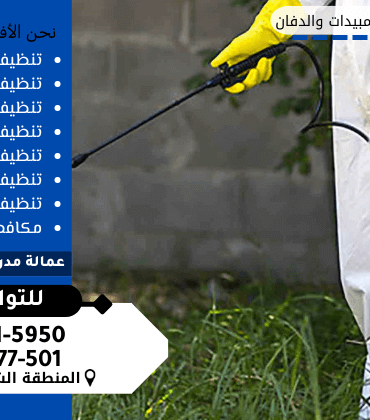شركة رش مبيدات بالخبر شركة رش مبيدات بالخبر