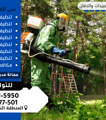 شركة رش مبيدات بالدمام شركة رش مبيدات بالدمام