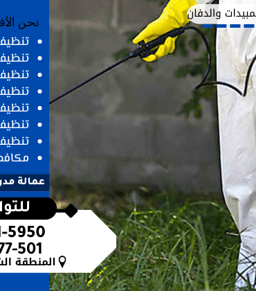 شركة رش مبيدات بالقطيف شركة رش مبيدات بالقطيف