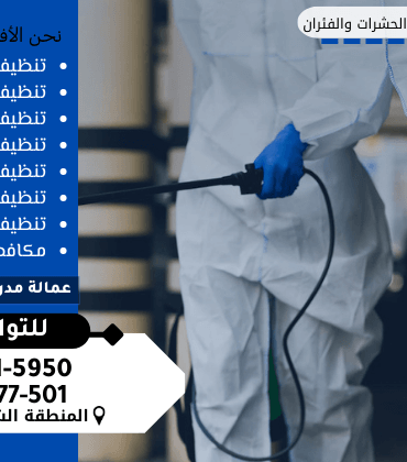 شركة مكافحة الفئران بالدمام شركة مكافحة الفئران بالدمام