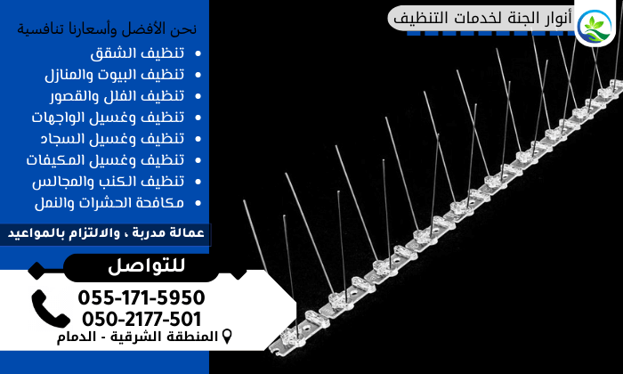 أفضل شركة تركيب طارد الحمام بالدمام و المنطقة الشرقية