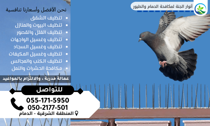 Read more about the article شركة تركيب أشواك طرد الحمام والطيور بالدمام