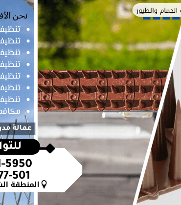 شركة تركيب طارد الحمام بالدمام شركة تركيب طارد الحمام بالدمام