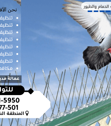شركة تركيب طارد حمام بالقطيف شركة تركيب طارد حمام بالقطيف