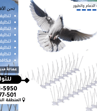 شركة مكافحة الحمام بالدمام شركة مكافحة الحمام بالدمام