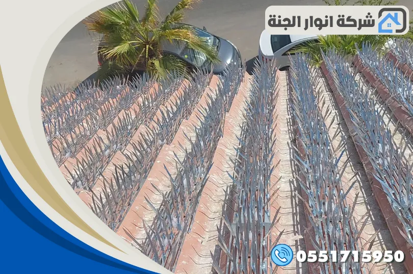 شركة تركيب طارد الحمام بالخبر