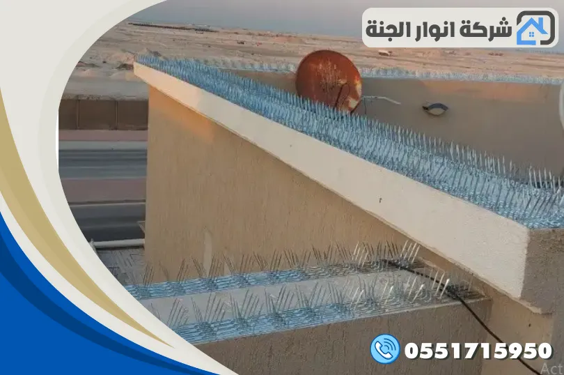 شركة مكافحة الحمام بالخبر
