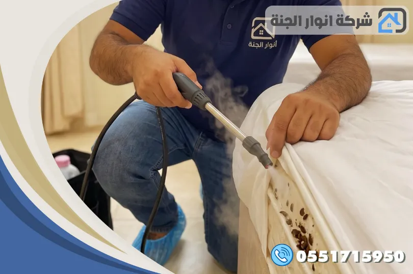 خدمات مكافحة الحشرات بالقطيف