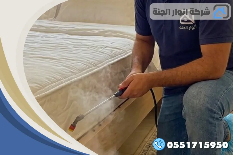 أنواع المبيدات المستخدمة في رش الحشرات بالقطيف