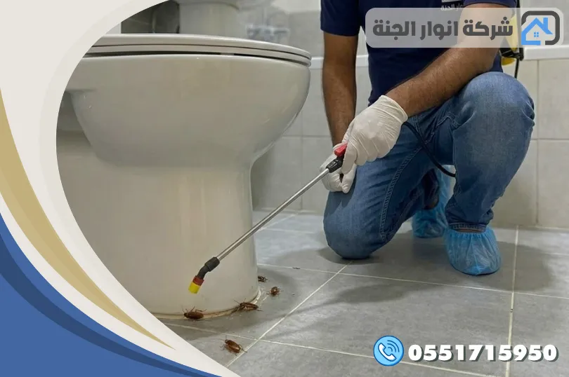 شركة رش مبيدات بالقطيف | مكافحة حشرات بالضمان وبدون رائحة
